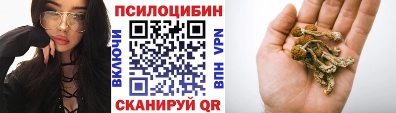 Галлюциногенные грибы MAGIC MUSHROOMS  Купить  Приморск 