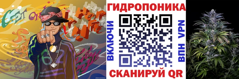 Купить закладки  Приморск  Шишки марихуана Amnesia 